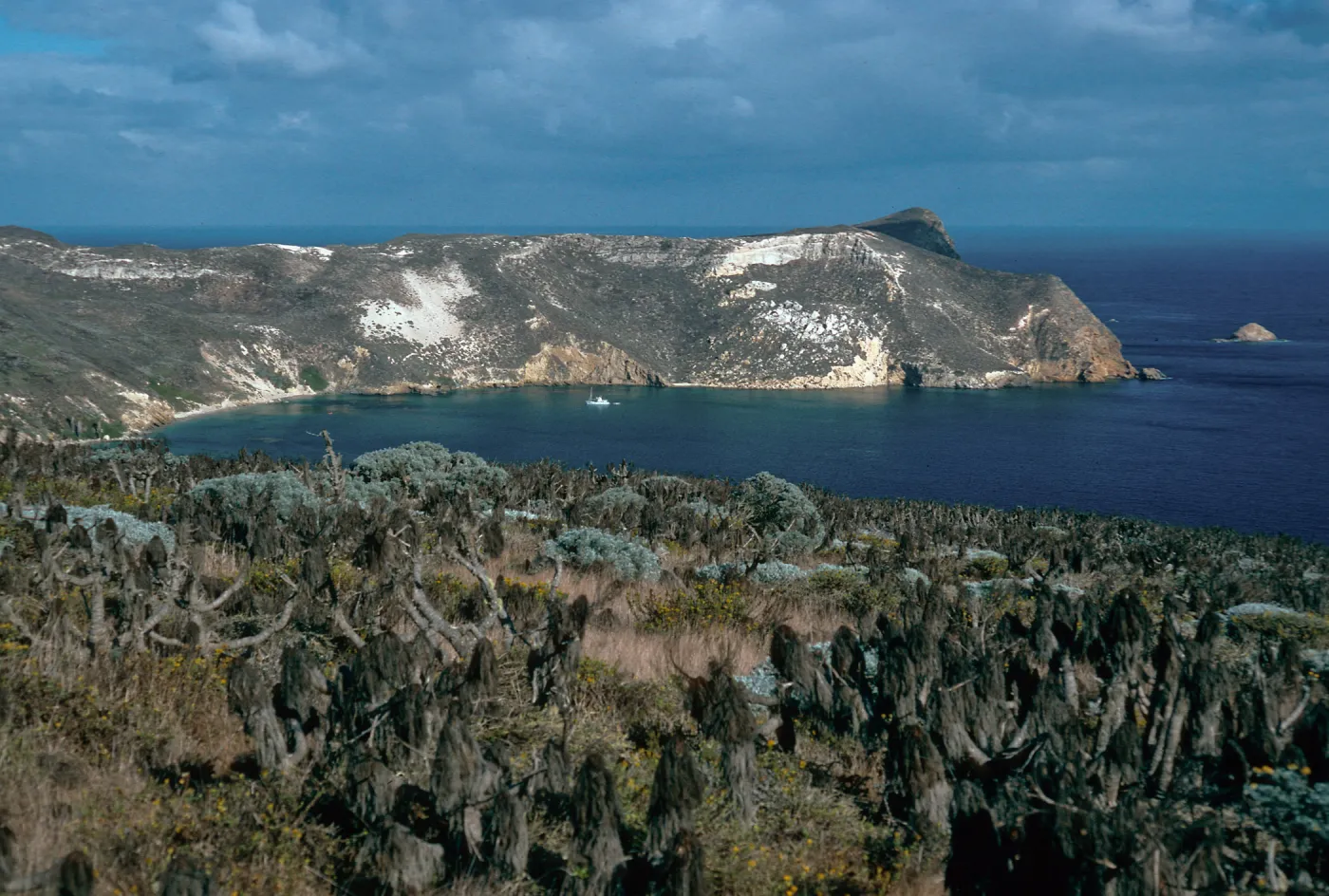 Cuyler Harbor, San Miguel Island