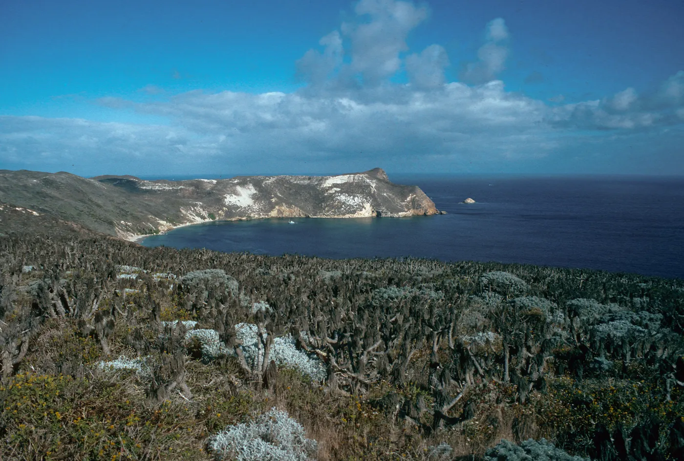 Cuyler Harbor, San Miguel Island