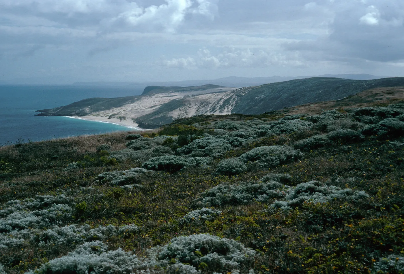 view of Cuyler Harbor, from Harris Point Peninsula, San Miguel Island