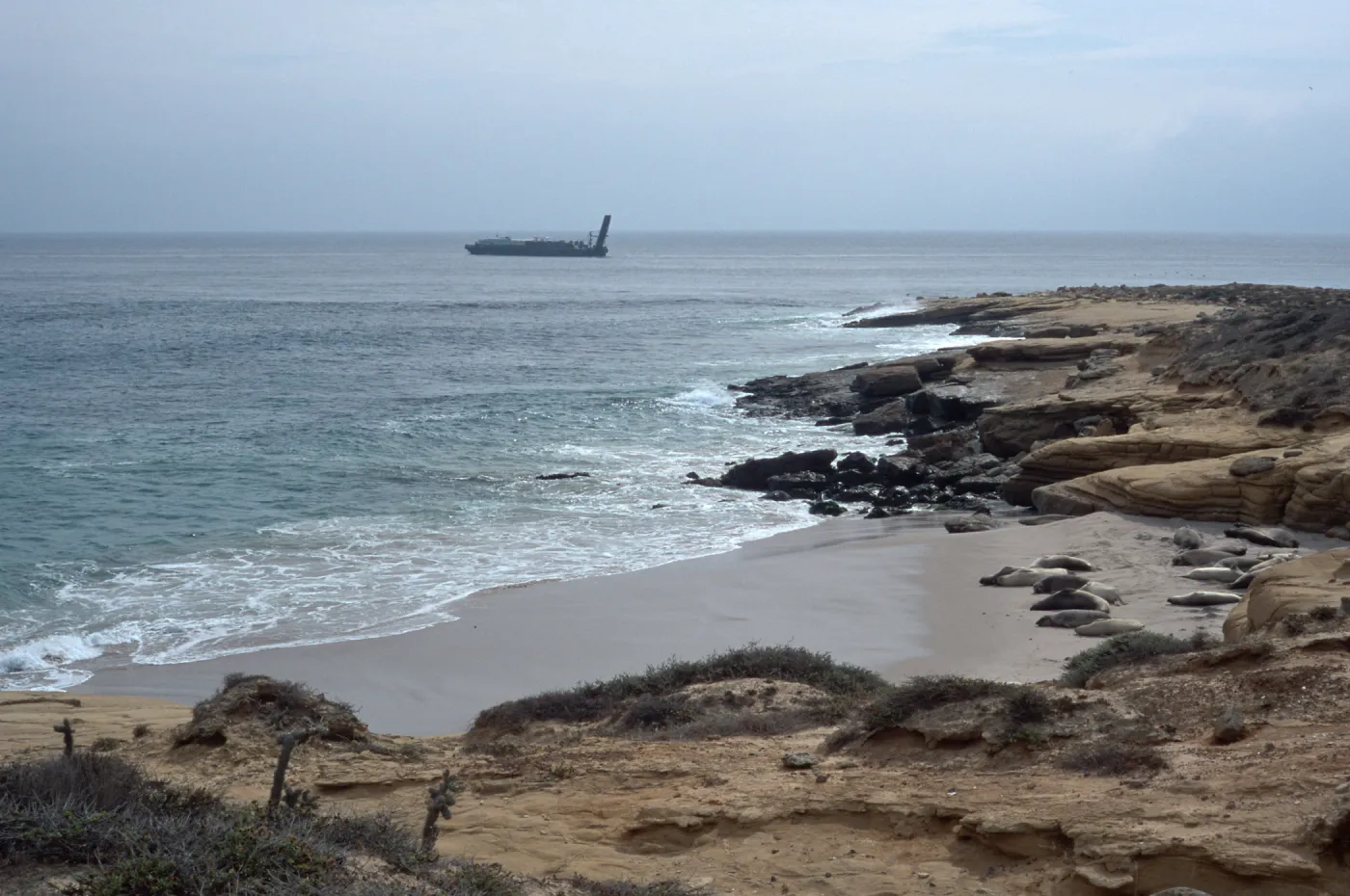 barge landing, Daytona Beach, San Nicolas Island