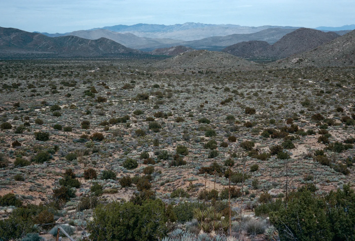 trail to Ghost Mountain, Blair Valley, Anza-Borrego State Park, San Diego County