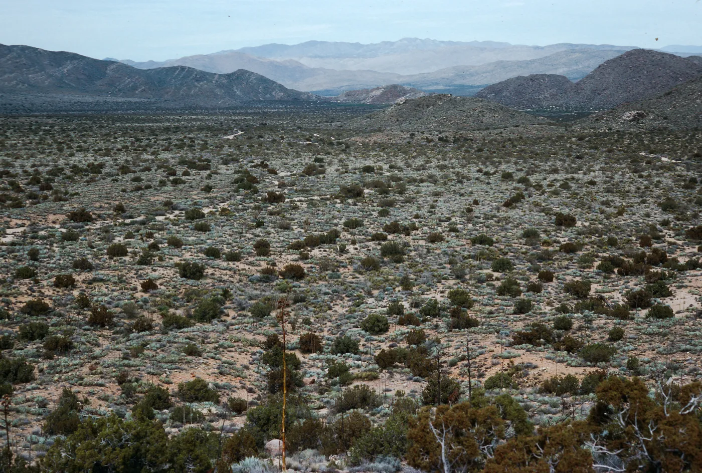 trail to Ghost Mountain, Blair Valley, Anza-Borrego State Park, San Diego County