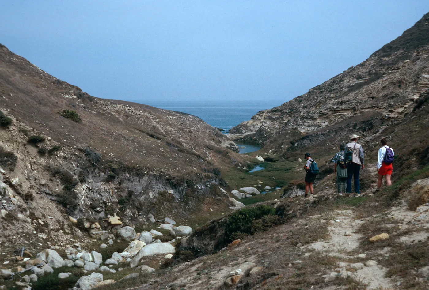 lower Cañon Lobos, Santa Rosa Island