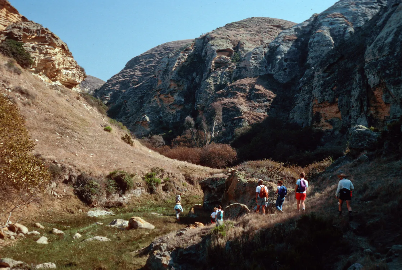 Lobo Canyon, Santa Rosa Island