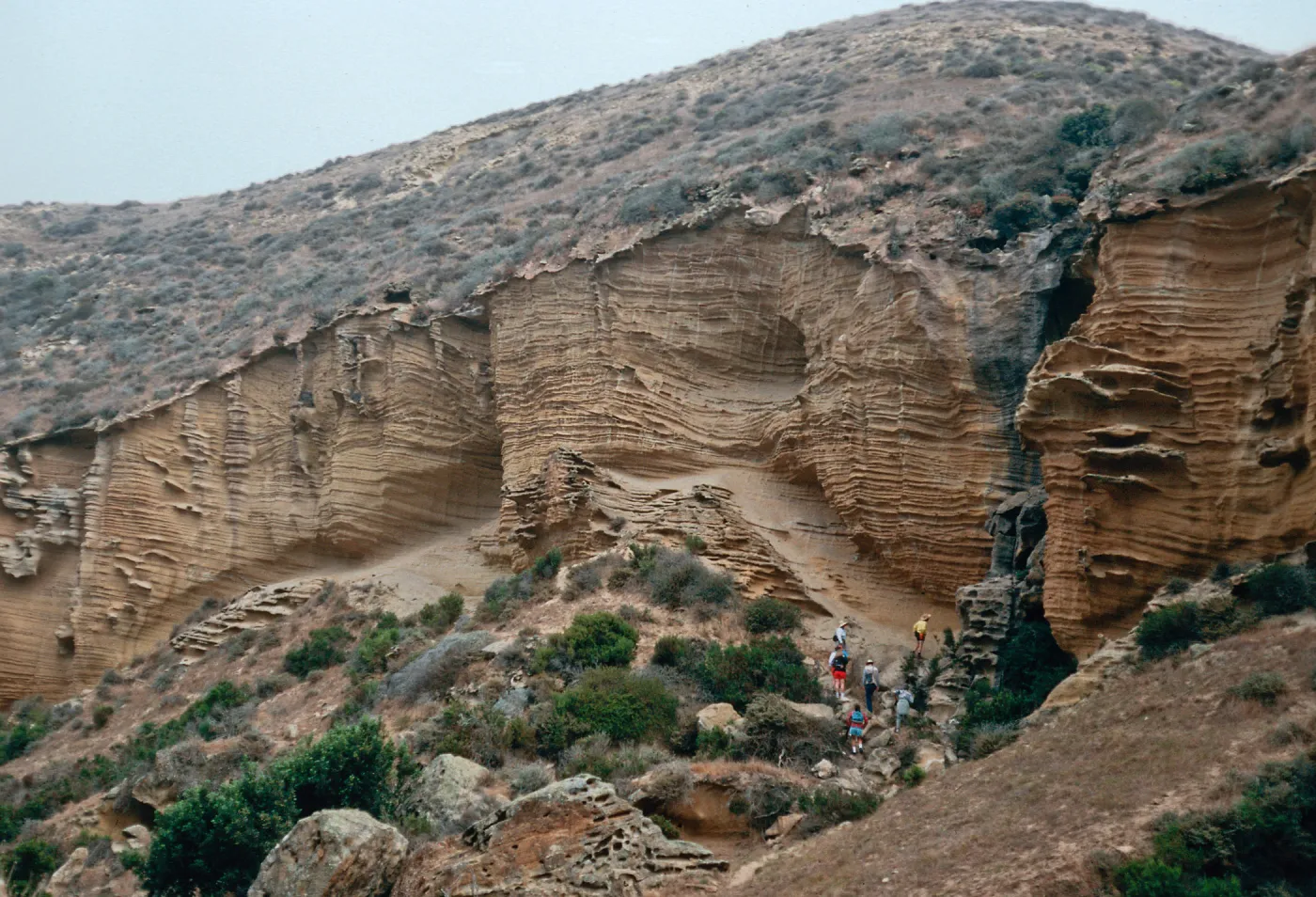 Lobo Canyon, Santa Rosa Island