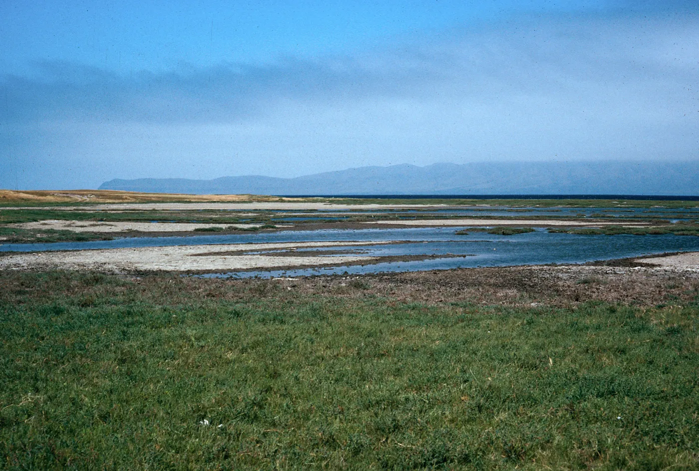 marsh, Old Ranch House Canyon, Santa Rosa Island