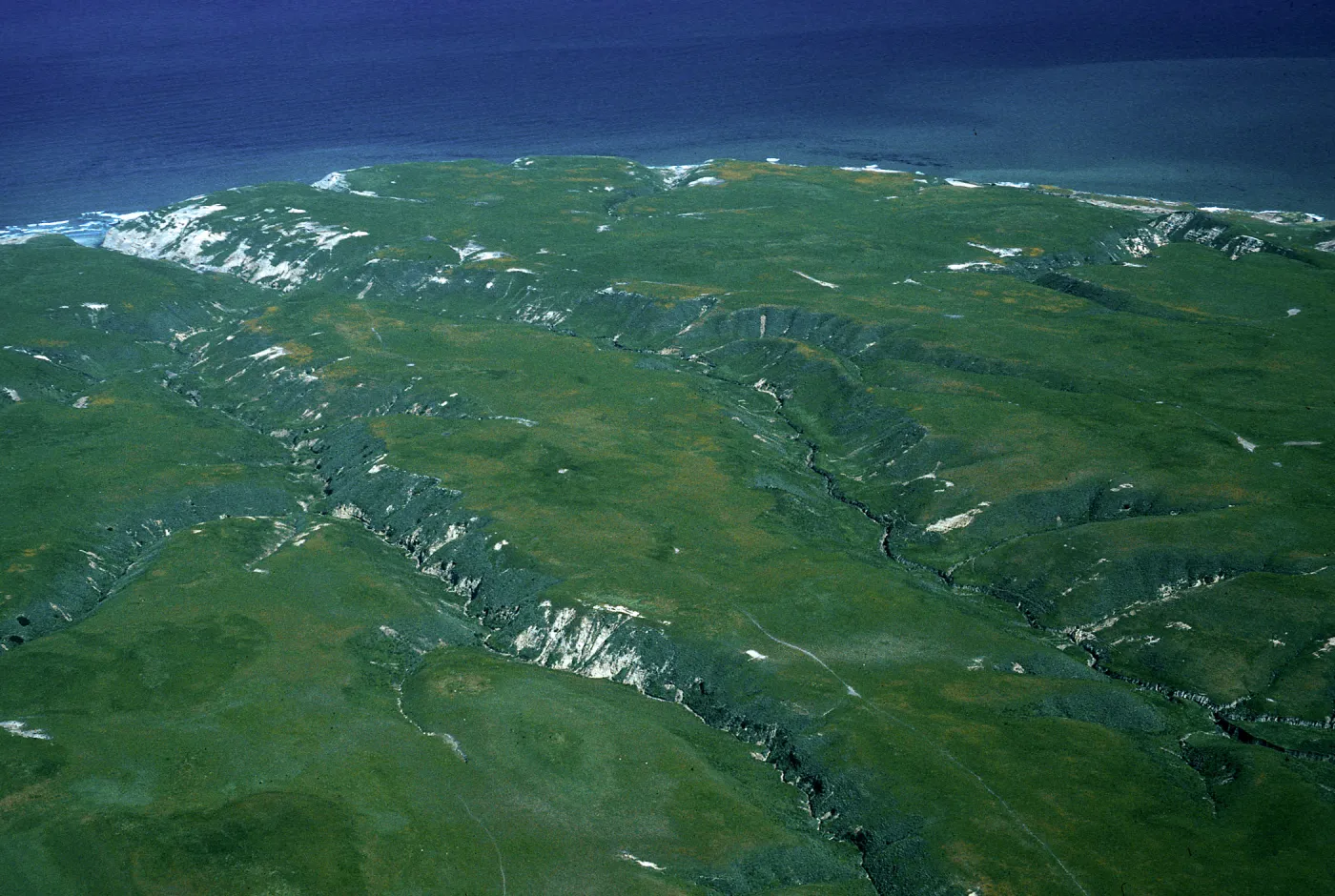 North side, Santa Rosa Island