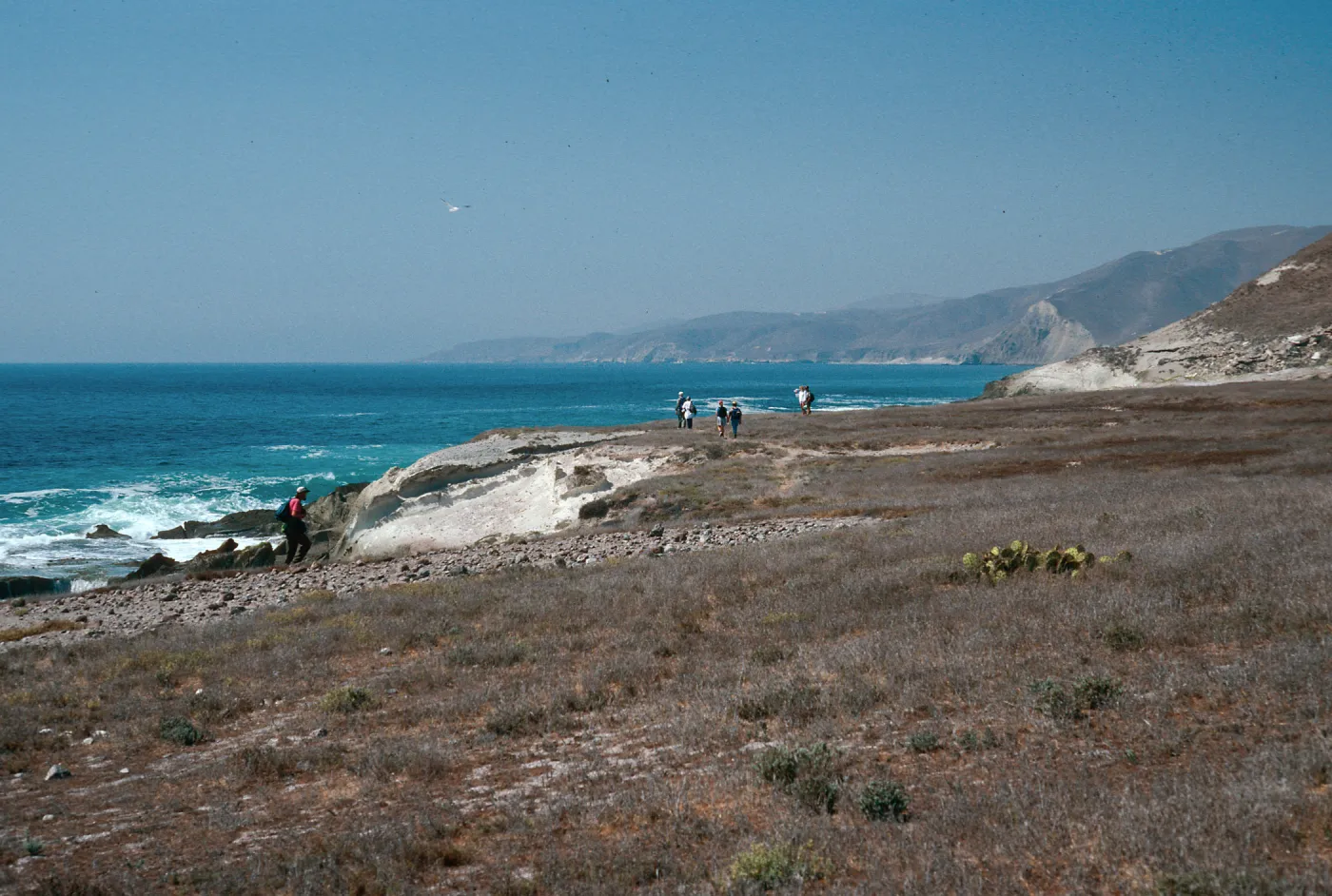 just West of East Point, Southeast side, Santa Rosa Island