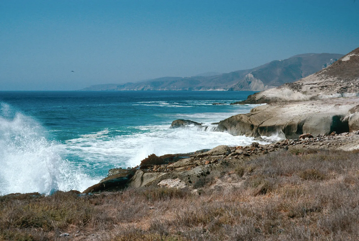 just West of East Point, Southeast side, Santa Rosa Island