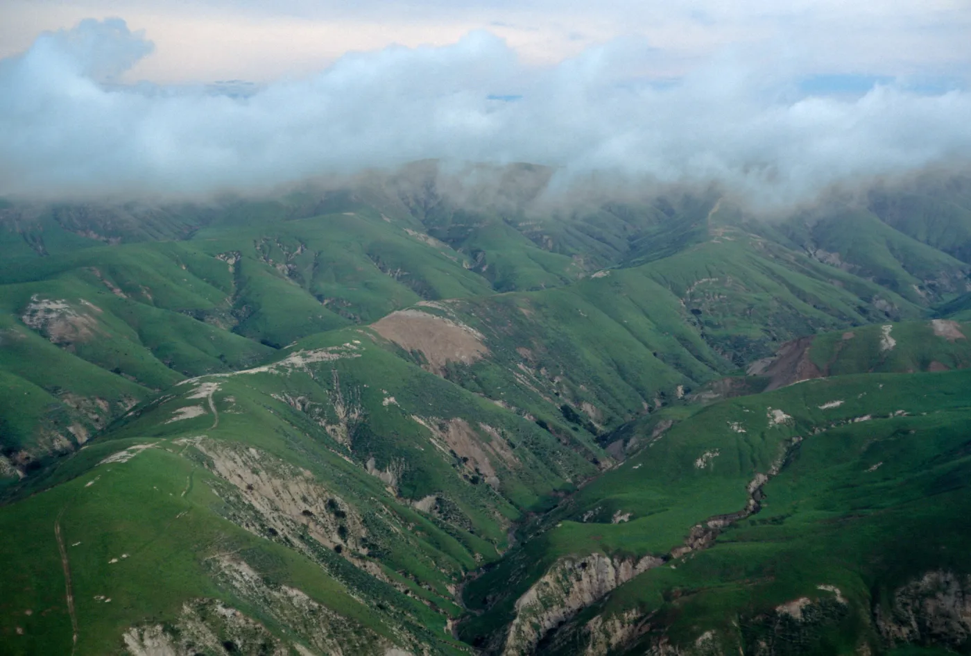 South side, Santa Rosa Island