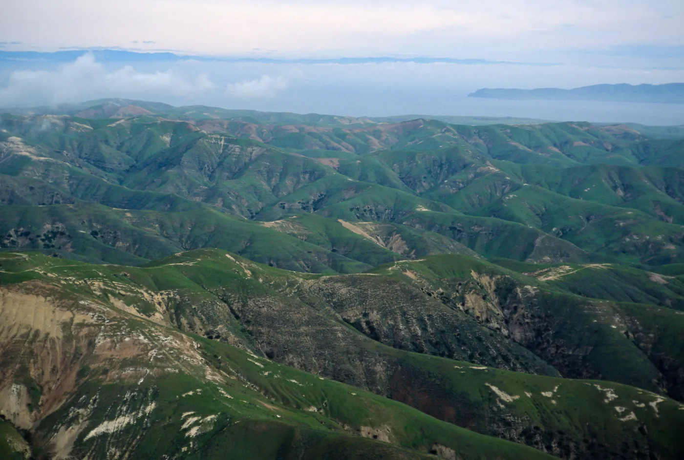 Southeast side, Santa Rosa Island