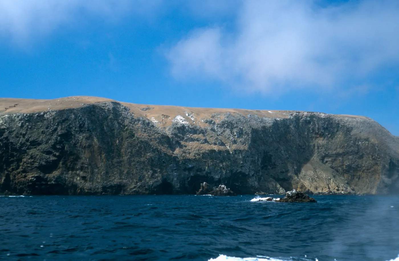 near Potato Harbor, Santa Cruz Island