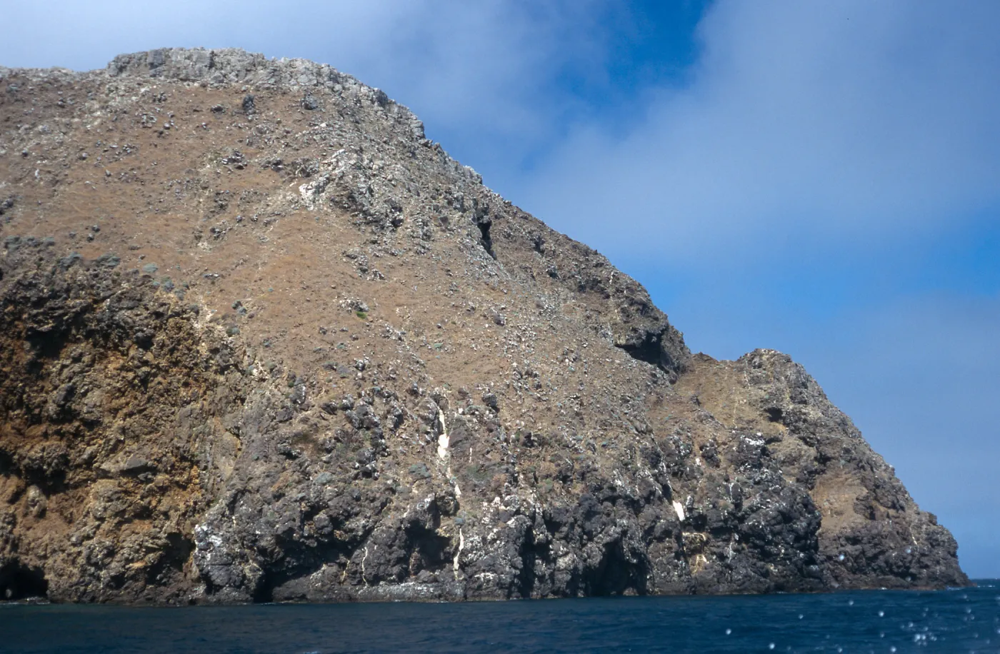 bluffs, near Scorpion Bay, Santa Cruz Island