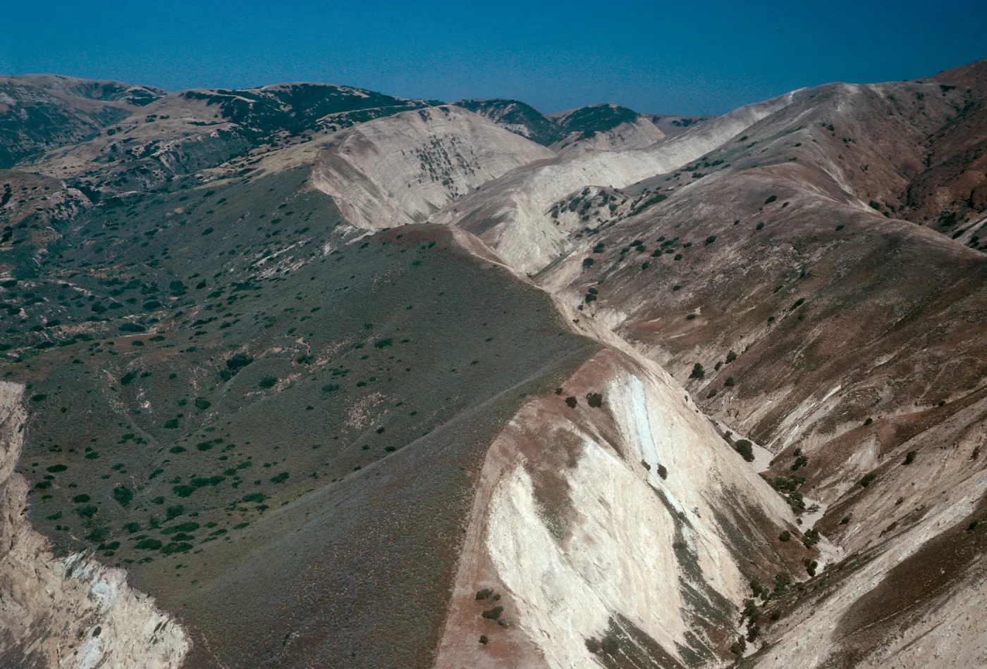 South side, Stanton/Gherini property lines, Santa Cruz Island