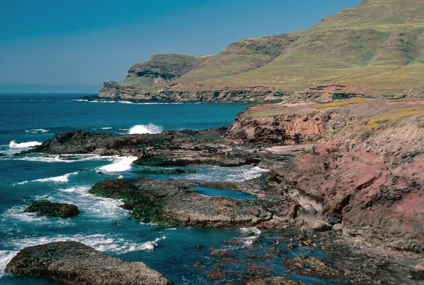 looking North, Fraser Point, Santa Cruz Island