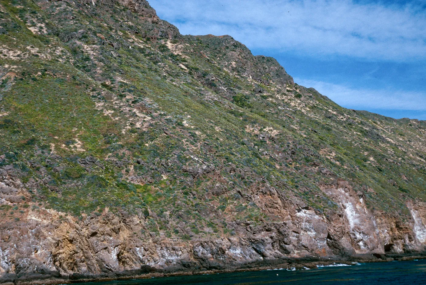 offshore bluffs, West Anacapa Island