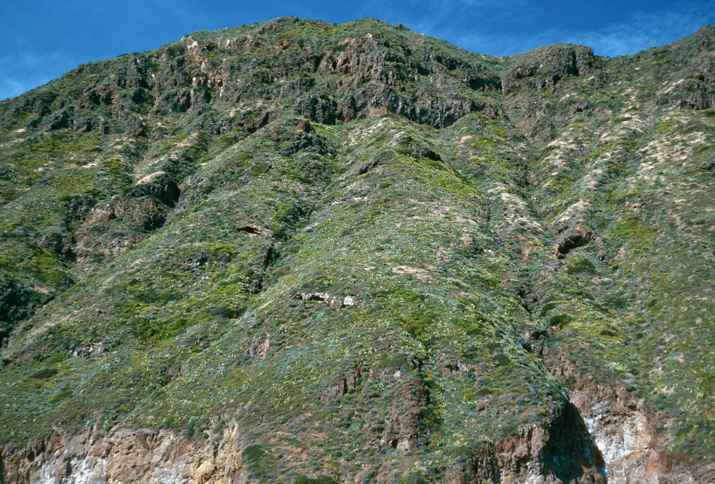 offshore bluffs, West Anacapa Island