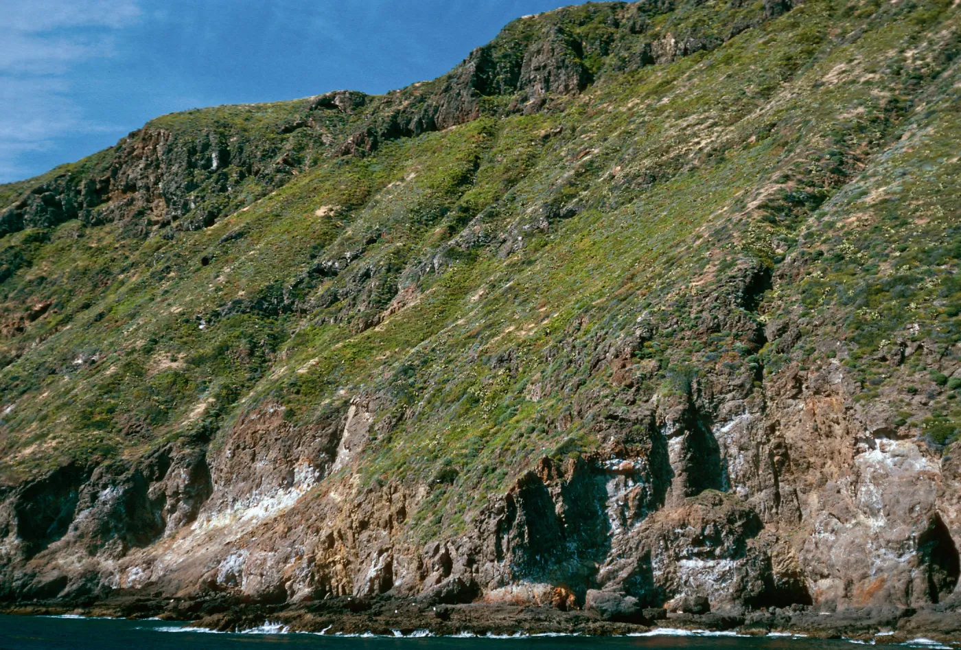 offshore bluffs, West Anacapa Island