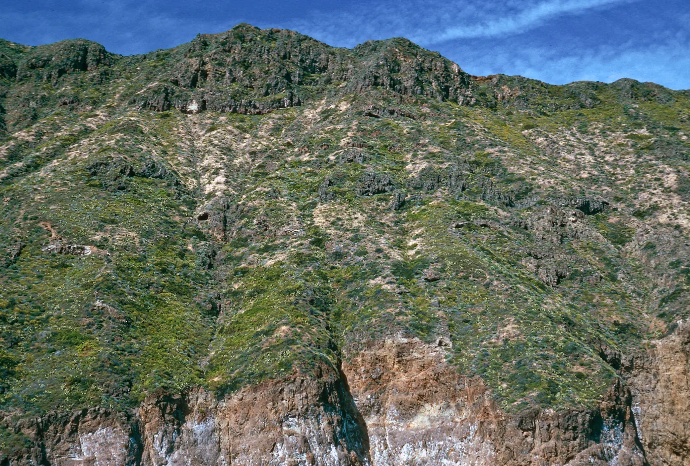 offshore bluffs, West Anacapa Island