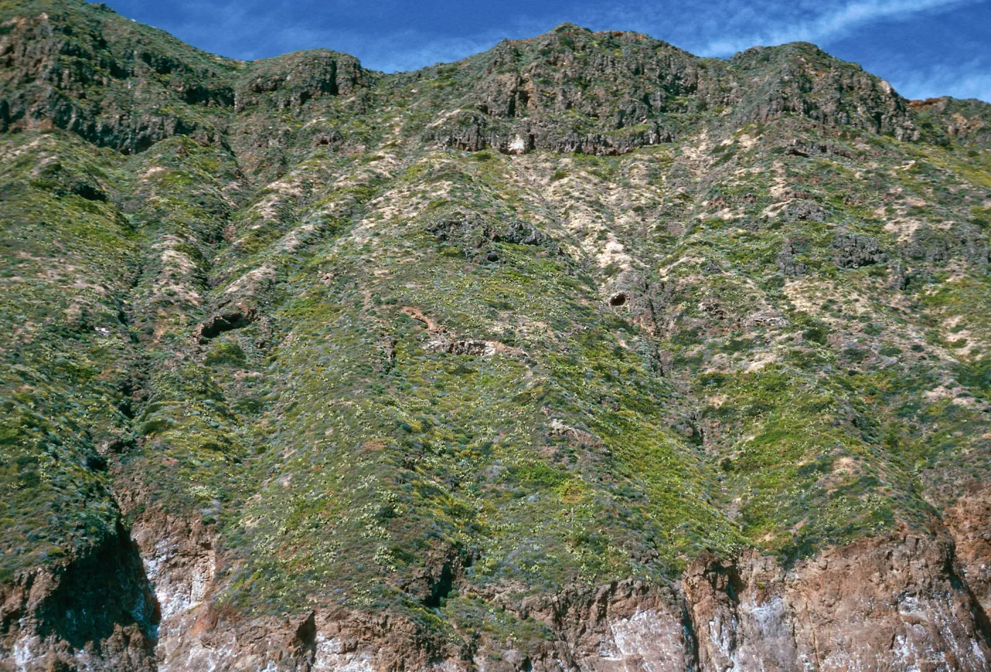 offshore bluffs, West Anacapa Island