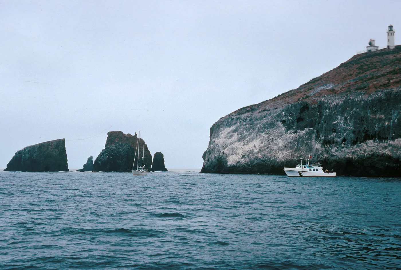 East end of East Island, East Anacapa Island