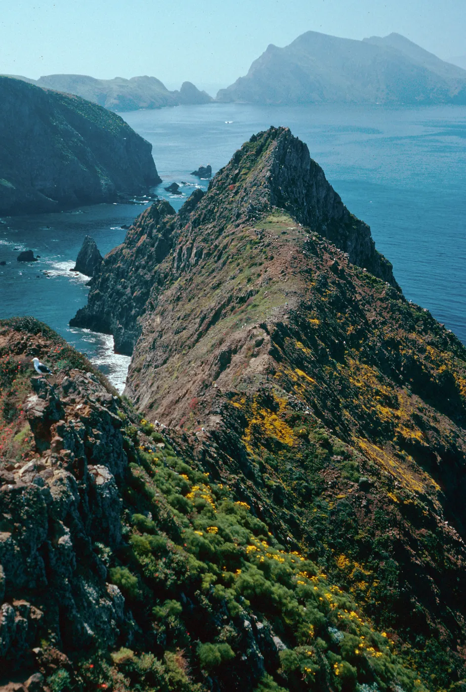 Inspiration Point, looking West, East Anacapa Island