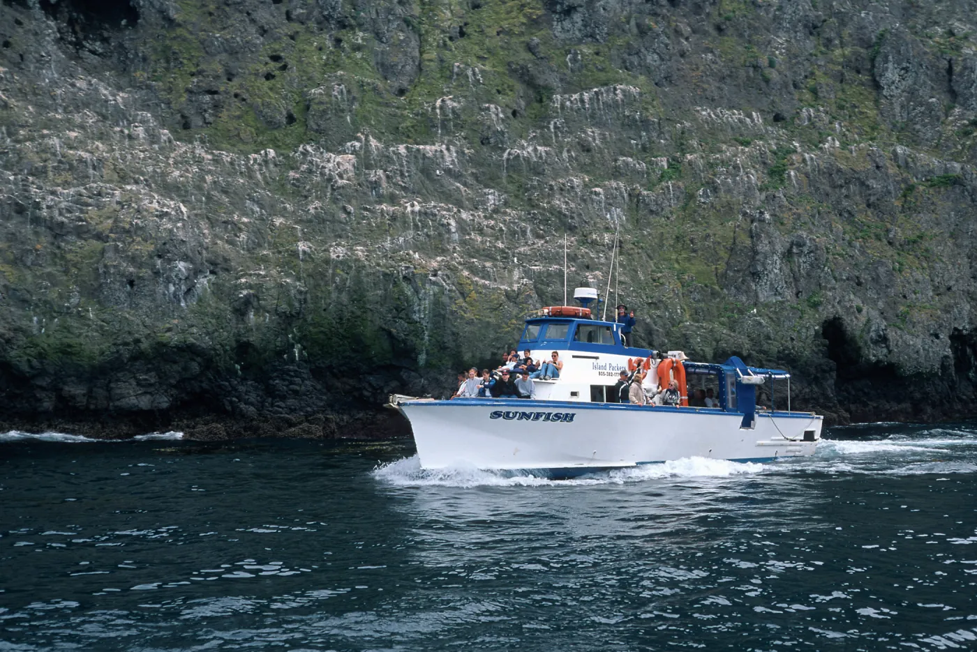 Sunfish at Landing Cove, East Anacapa Island