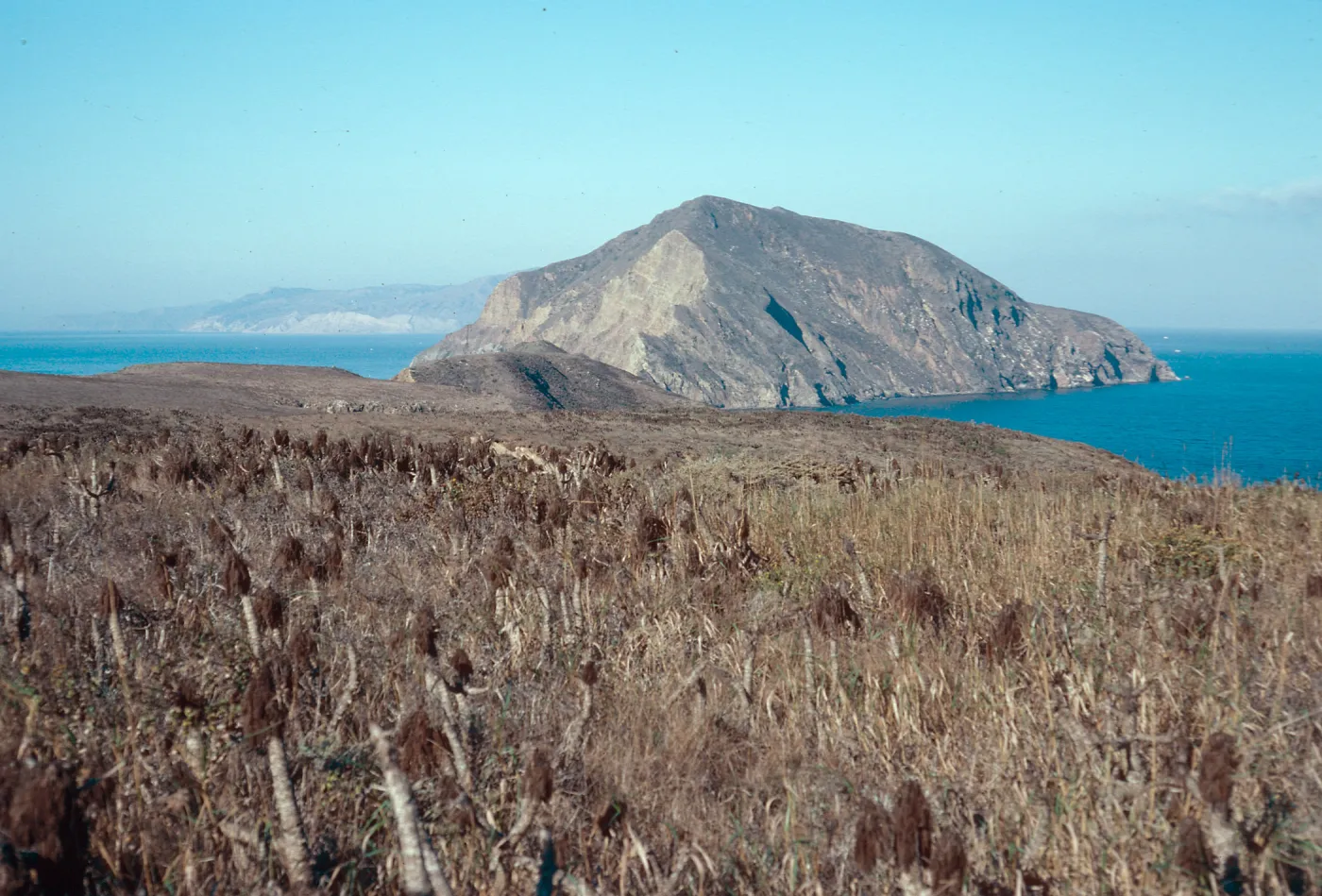 view of West Anacapa Island from Middle Anacapa Island