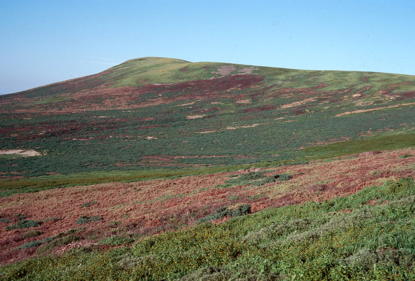 West side of island, looking to N-E, towards North peak, Santa Barbara Island