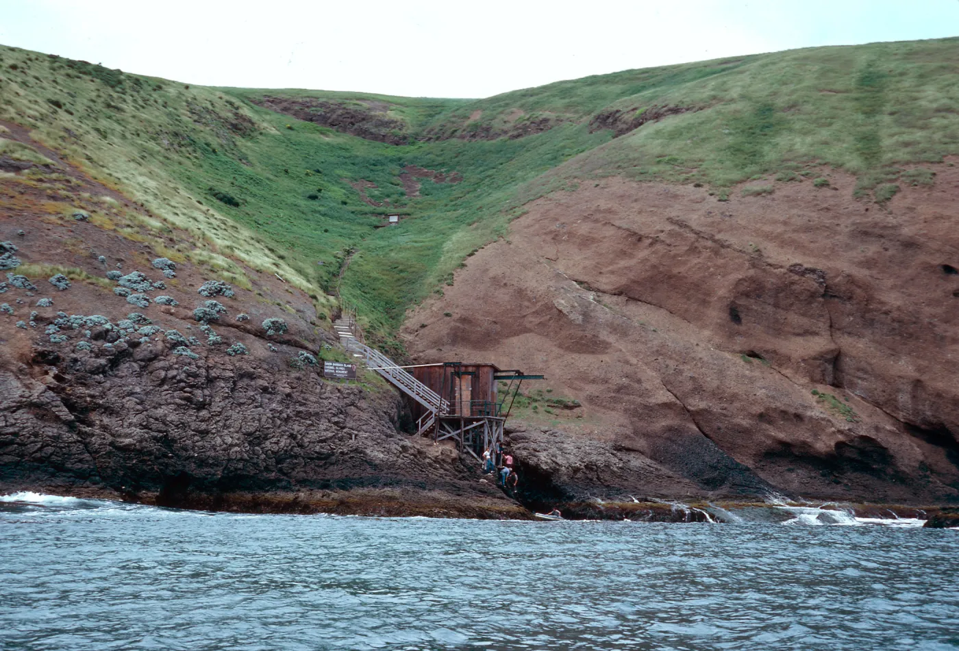 Landing Cove, Santa Barbara Island