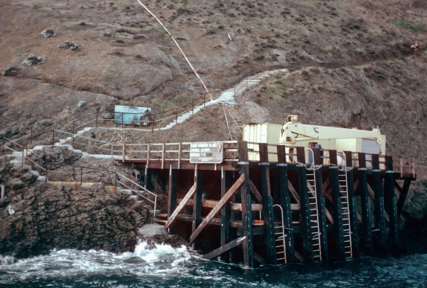 new landing, Santa Barbara Island