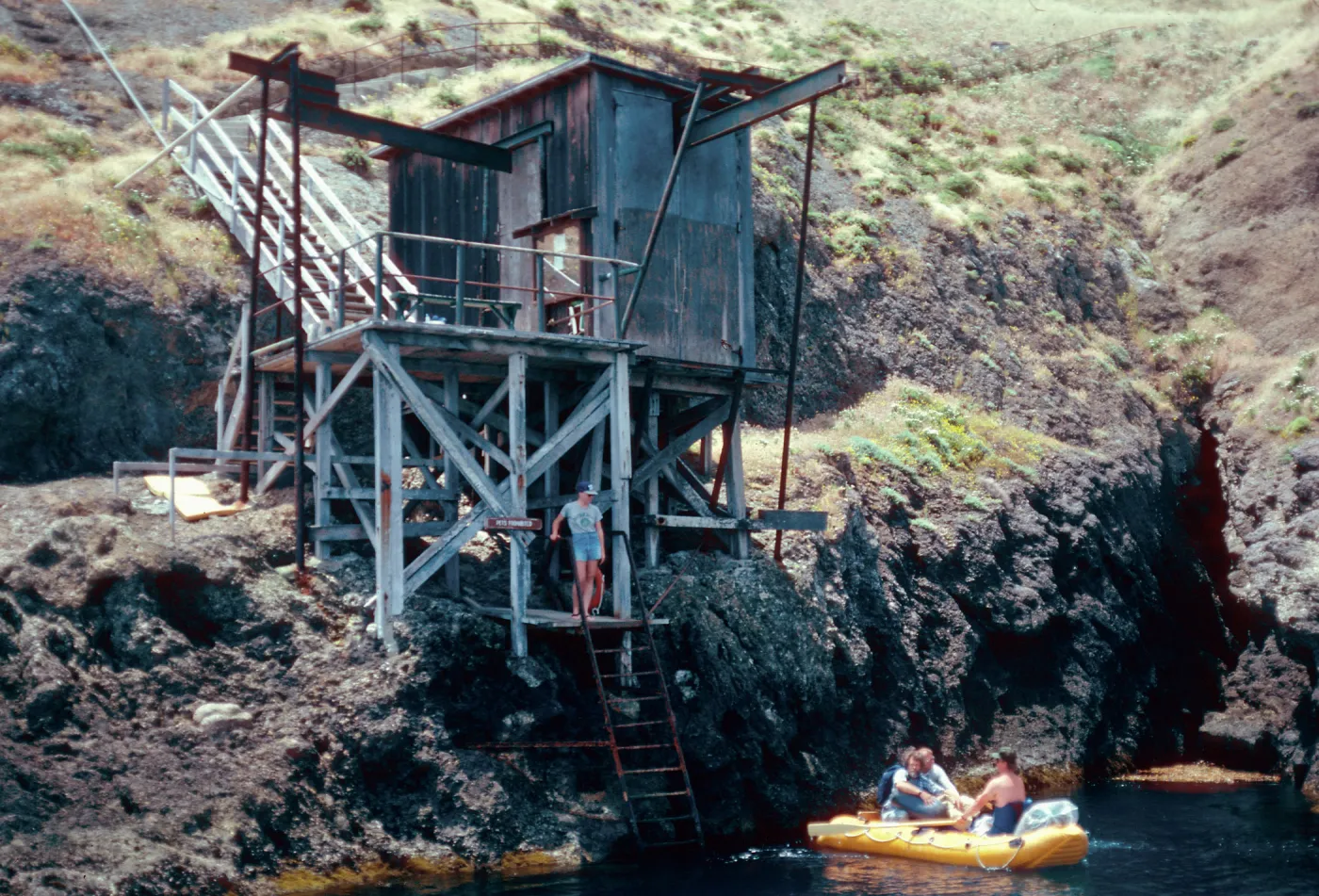 Landing Cove, Santa Barbara Island