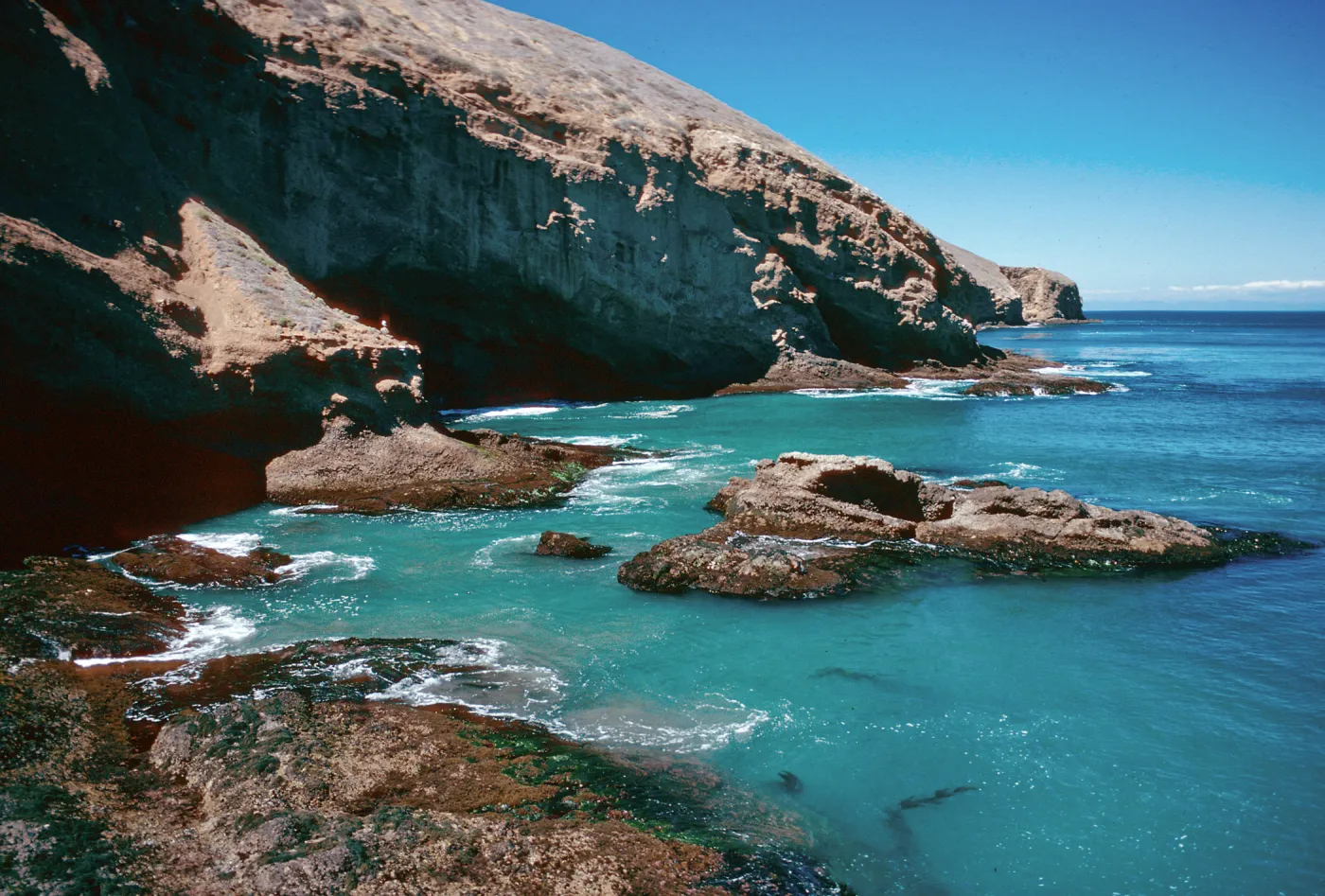 Landing Cove, Santa Barbara Island