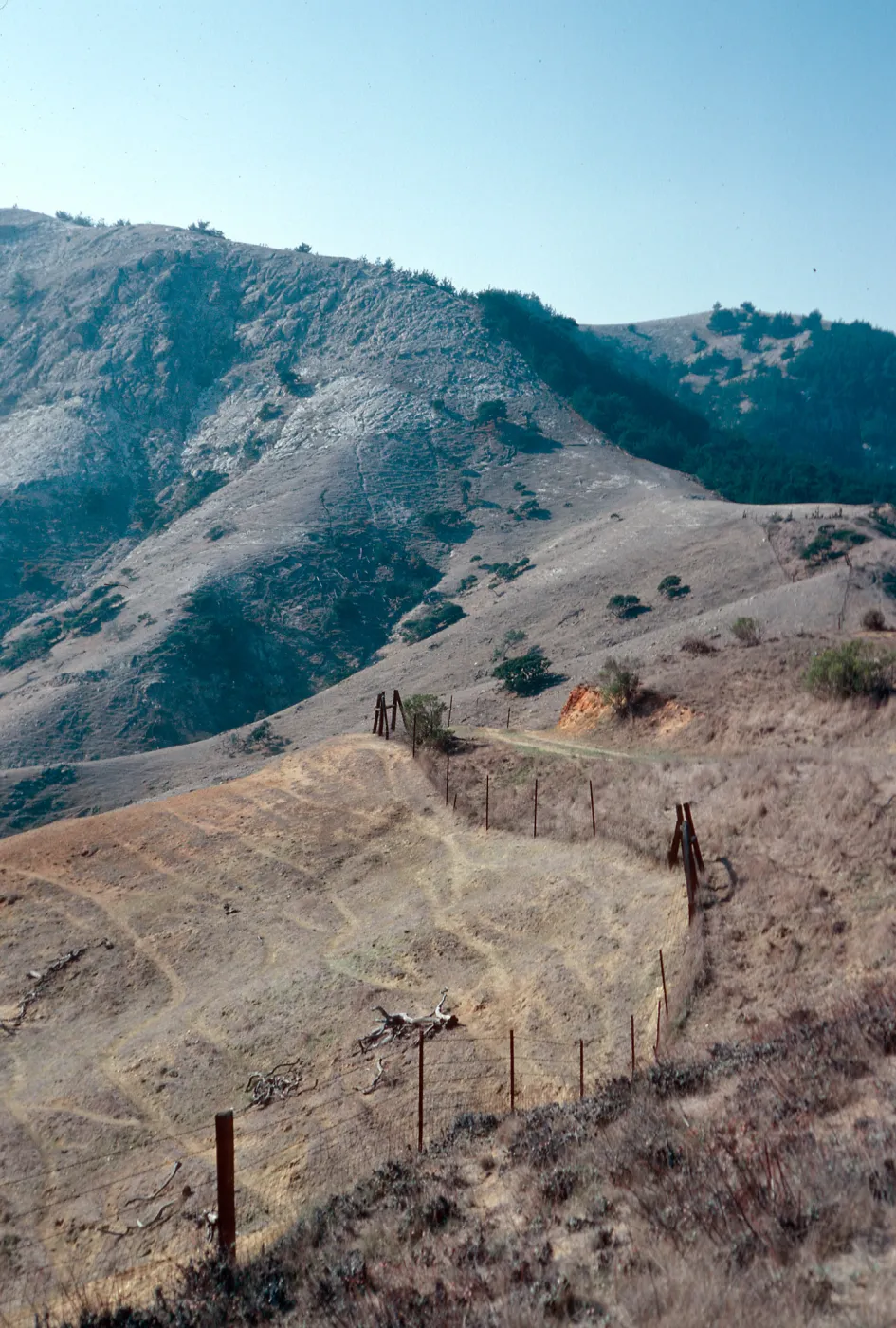sheep damage, upper Laguna - upper Sauces Road - looking toward ragged mountain ridge, Santa Cruz Island