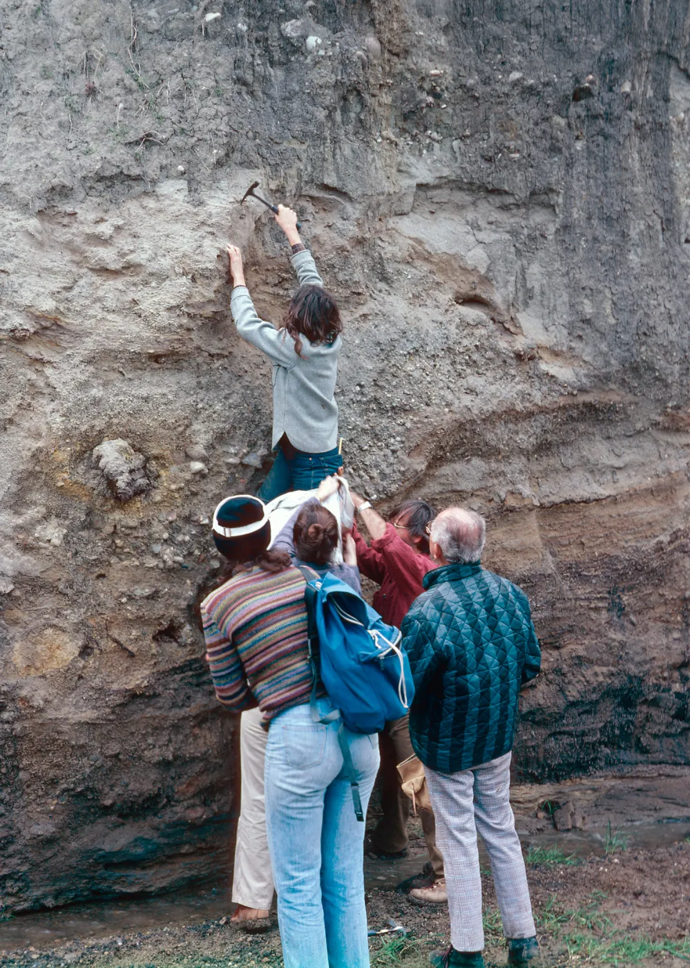 fossil hunting with Dan Axelrod, Cañada de Los Sauces, Santa Cruz Island