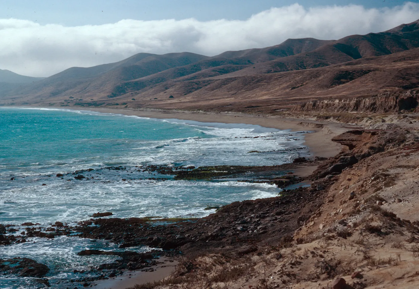 Playa Larga, just West of Punta Arena, Santa Cruz Island
