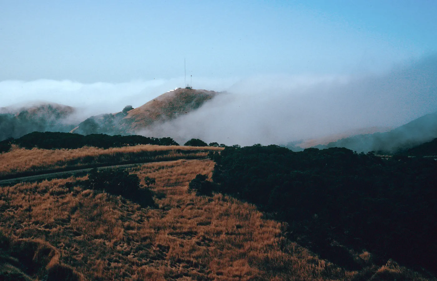 fog near Mount Pleasant, Santa Cruz Island