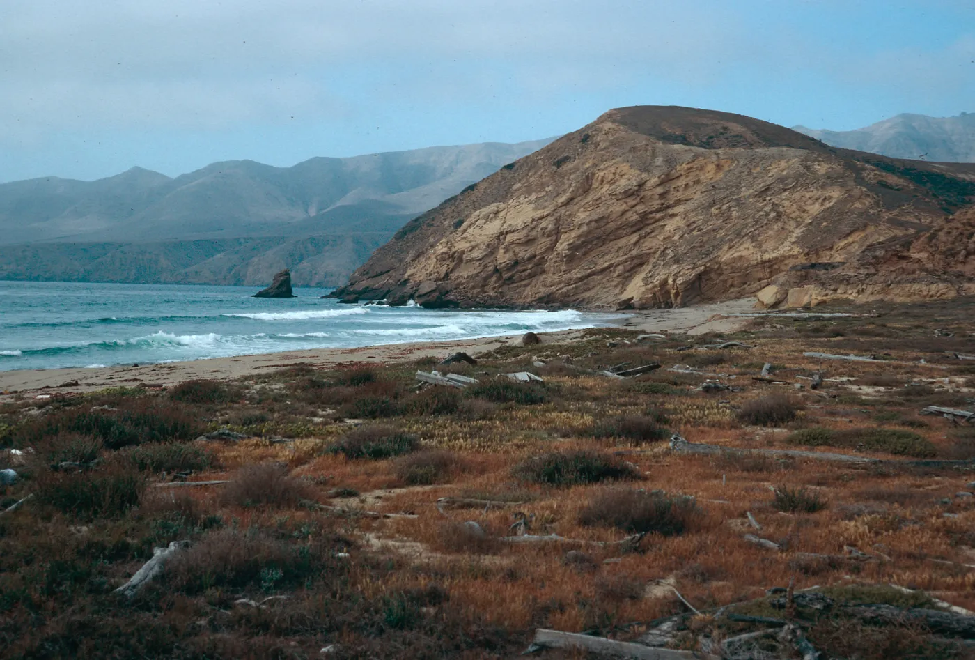 Sauces Beach, looking North, Santa Cruz Island