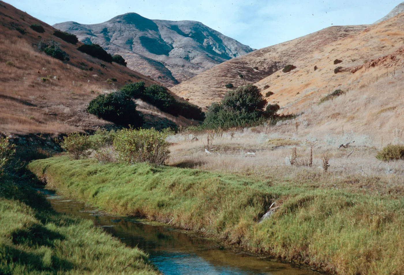 mouth of Cañada de Malva Real, Santa Cruz Island 