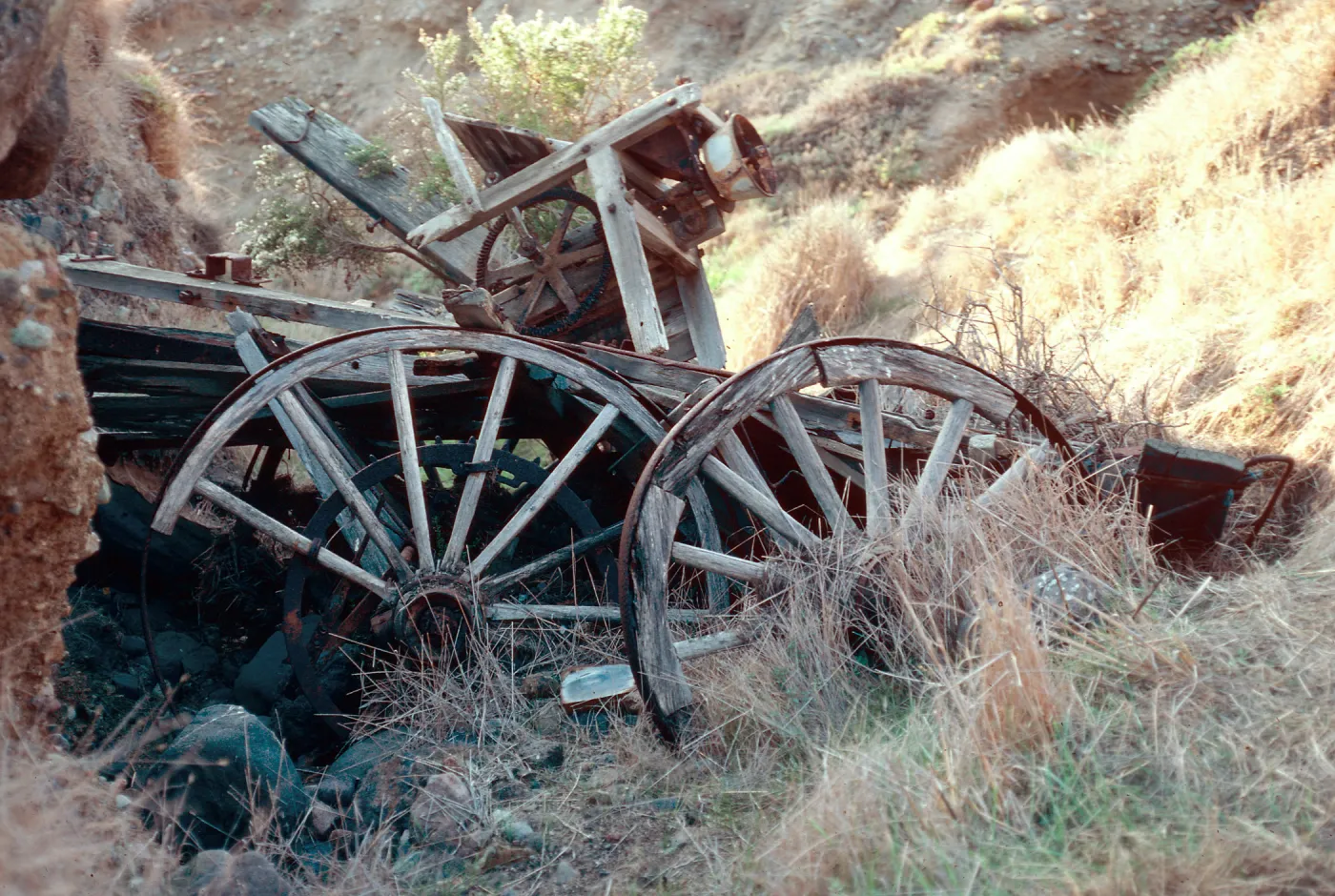 Wagon Gulch, near Christy Ranch, Santa Cruz Island