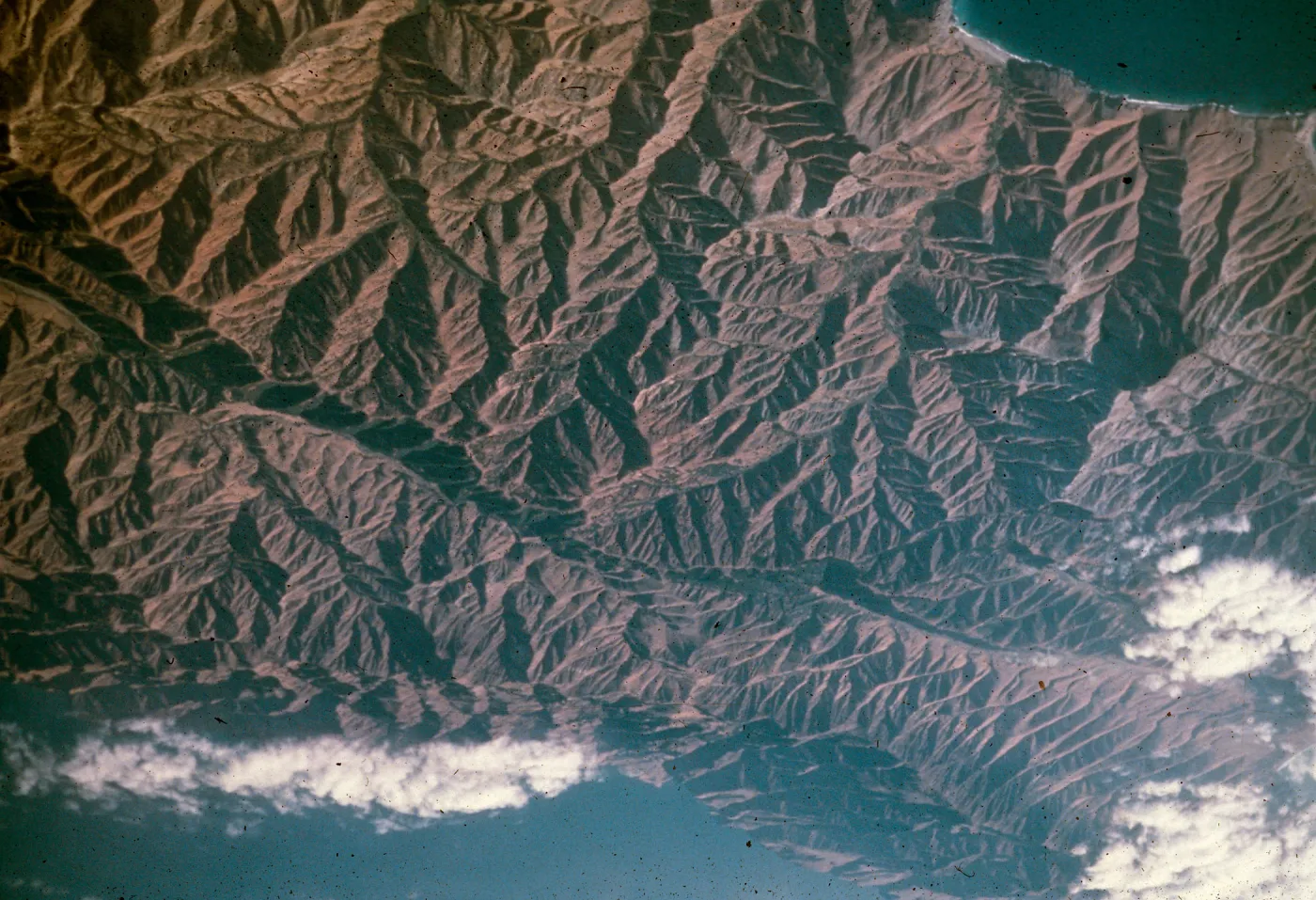 Bob Hallers trip to Australia, August, 1981, Santa Cruz Island