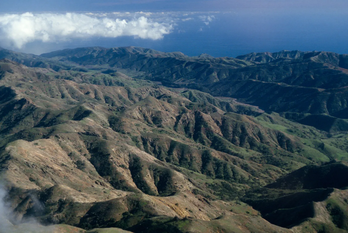 Central Valley & North ridge, Santa Cruz Island
