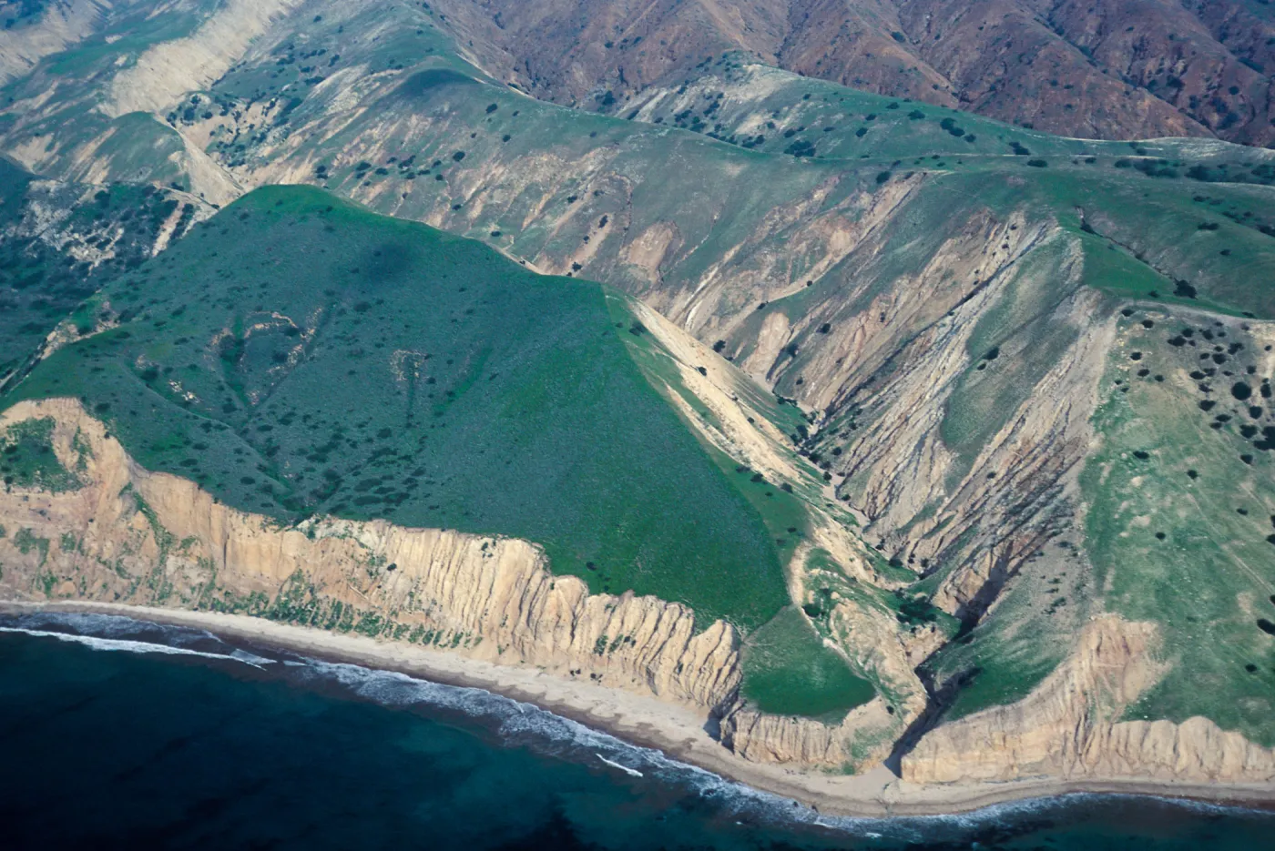 The Nature Conservancy/National Park Service fenceline, Montañon Canyon, Santa Cruz Island