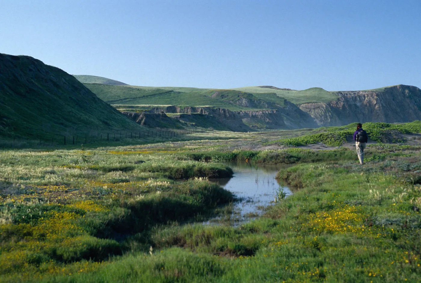 vernal pond, Christy Beach, Santa Cruz Island