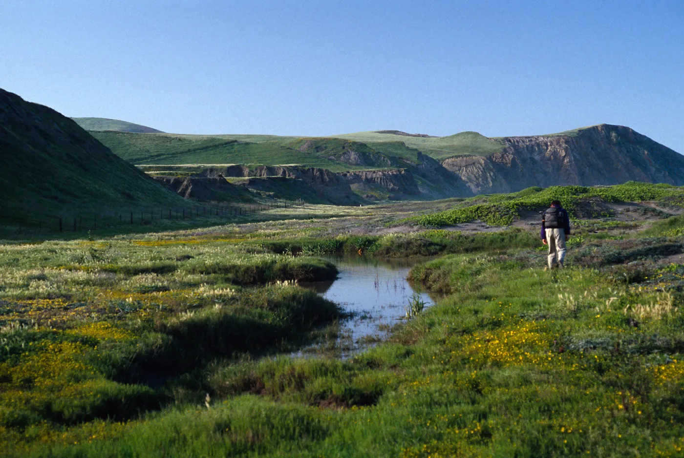 vernal pond, Christy Ranch, Santa Cruz Island