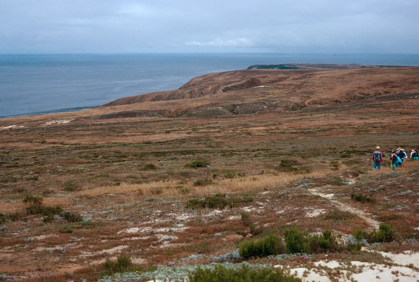 trail, West of San Miguel Peak, San Miguel Island