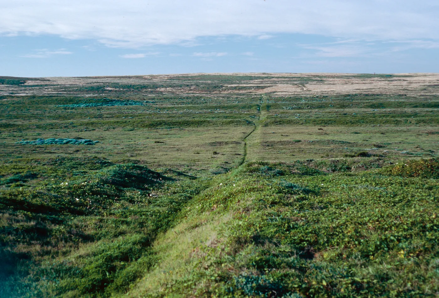 near dry lake, San Miguel Island