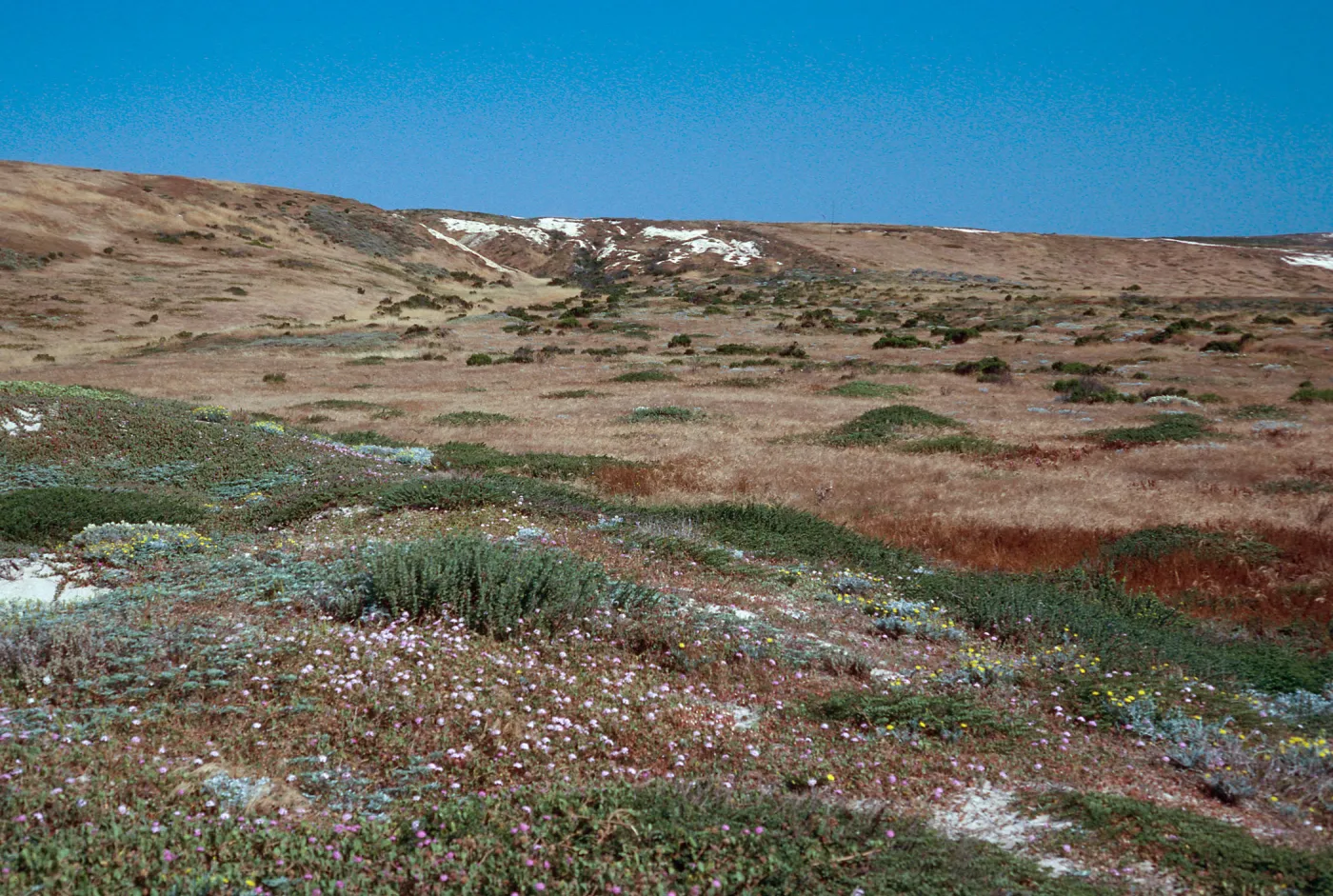 trail to East end, San Miguel Island