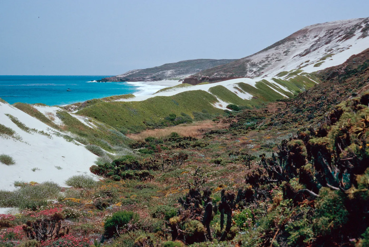 dunes, Cuyler Harbor, San Miguel Island