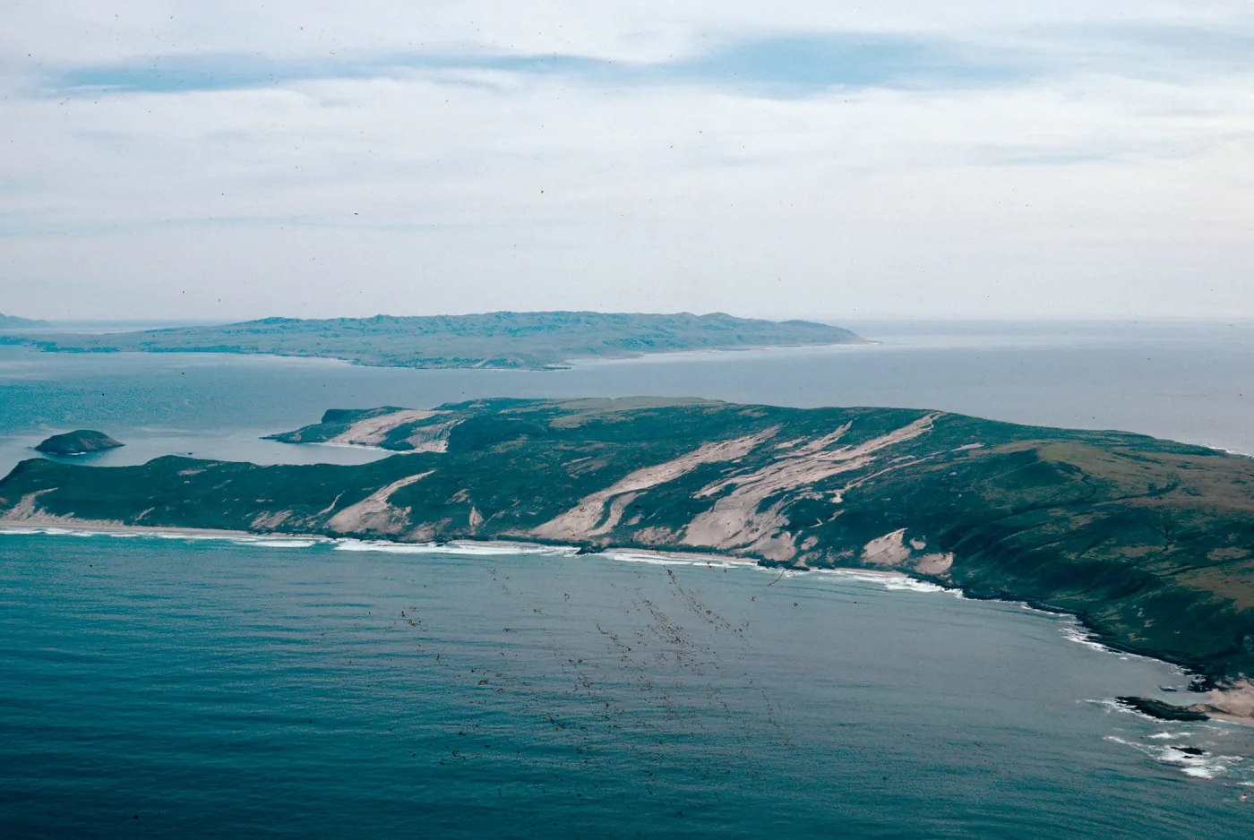 Northwest coast, San Miguel Island